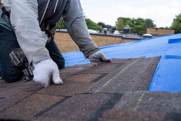 Best Roof Repair Specialists  in Gerdine, AL