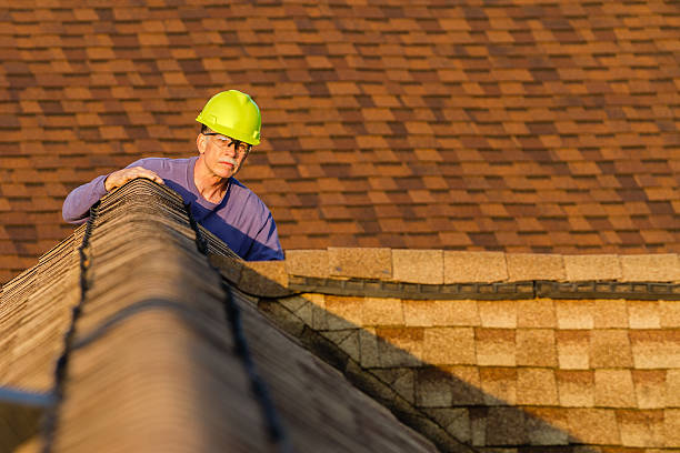 Roof Gutter Cleaning in Geraldine, AL