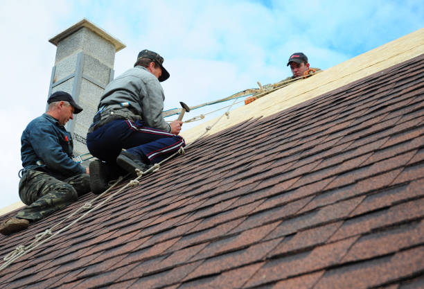 Best Roof Gutter Cleaning  in Gerdine, AL